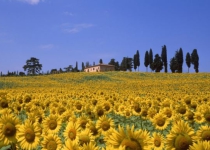 EU Bike Tours_Tuscany